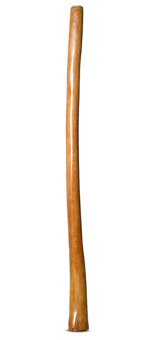 Gloss Finish Flared Didgeridoo (TW1123)